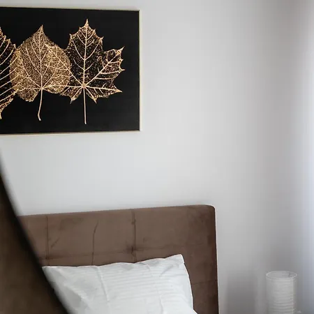 Spacious 224 Apartment