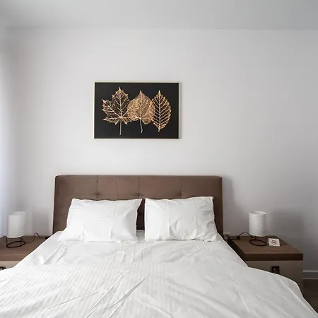 Spacious 224 Bucarest